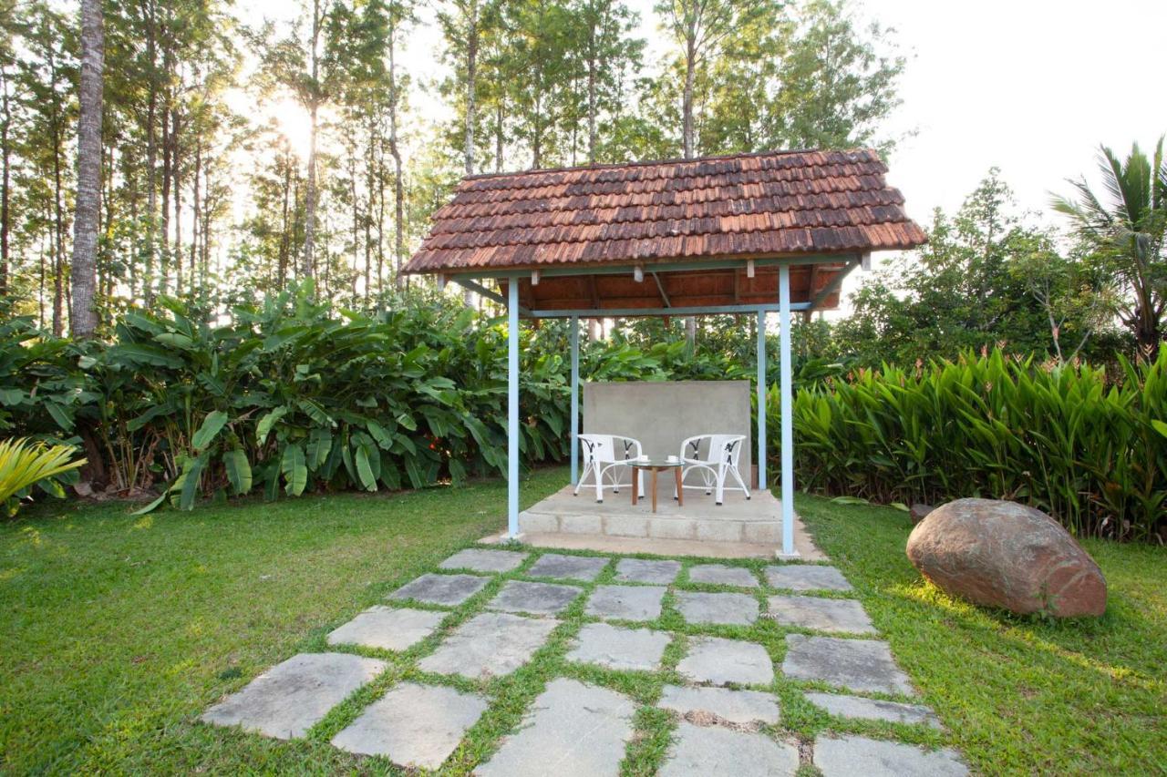 Stayvista At Cedar - Strelitzia 2Bhk With Breakfast And Jacuzzi Chikmagalur Exterior photo