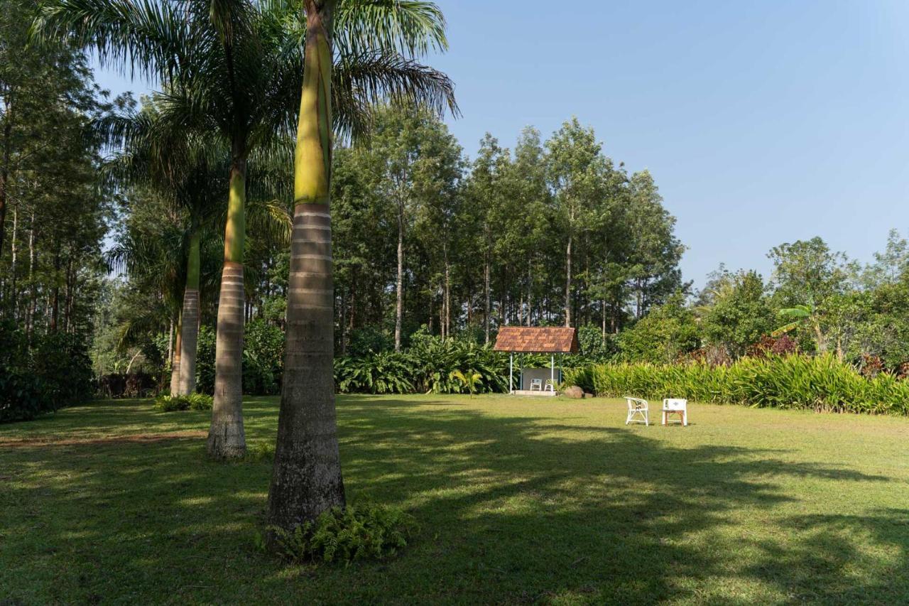 Stayvista At Cedar - Strelitzia 2Bhk With Breakfast And Jacuzzi Chikmagalur Exterior photo